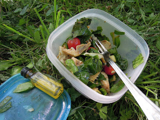 picnic salad idea