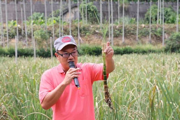 臺中農改場循環農業田間觀摩 魚茭共生資源循環利用