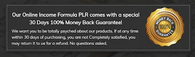 #moneyback, money back guaranty, AI software review, traffic generator