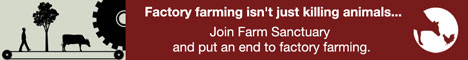 I am a VEGAN
