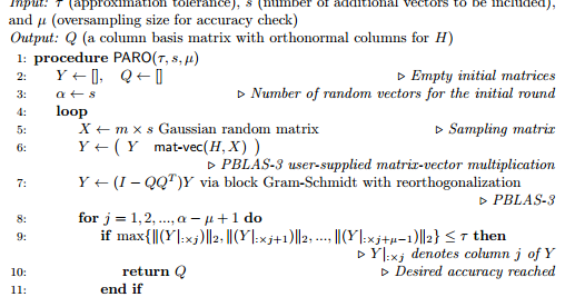 Nuit Blanche: Parallel Randomized and Matrix-Free Direct Solvers for ...