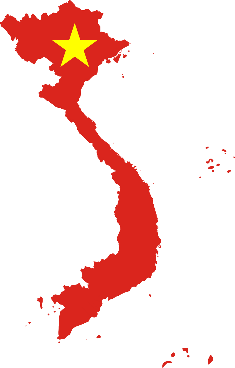 Immigrants in Vietnam