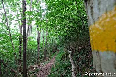 Ruta pels pobles de la vall de Ribes