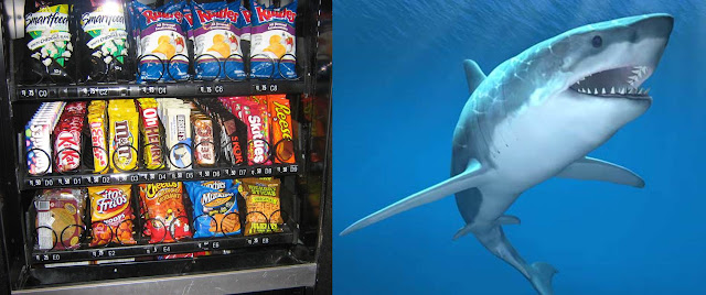 You're Twice As Likely To Get Killed By A Vending Machine Than A Shark, Top 10 Amazing Facts Of The World