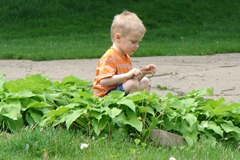 201105 May 494