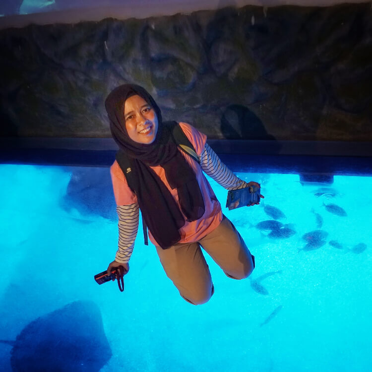 main ke jakarta aquarium