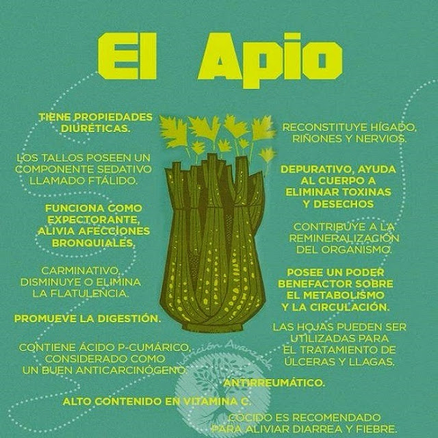 APIO - PROPIEDADES Y BENEFICIOS