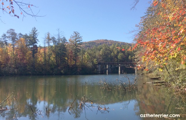 View of lake and old railway bridge on Terrora Trail in Tallulah Gorge State Park