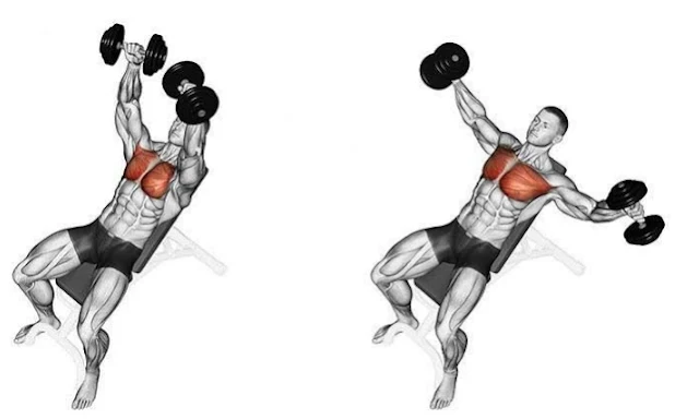 Men Who Want To Develop A Stronger, Bigger , And Wider Chest Should Do This Workout