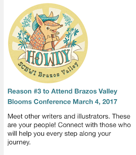 SCBWI Brazos Valley 2017 Conference, Reasons to attend a writer's conference