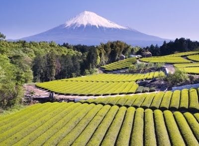 جبل فوجي Mount Fuji