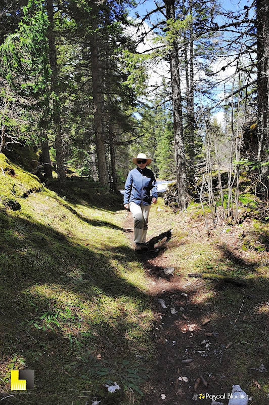 valérie blachier dans la forêt photo pascal blachier