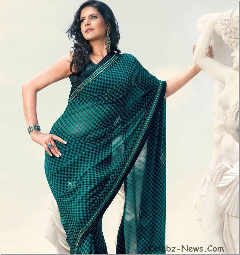 zarine-khan-saree-17