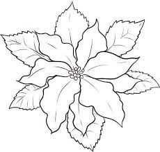 Kumpulan Sketsa Gambar  Bunga  Hitam  Putih  Untuk Diwarnai 
