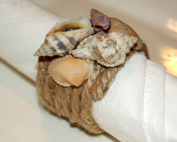 Craft Ideas Sand Dollars on Sand Dollars   Seashells For Your Seaside Decor   Beach House