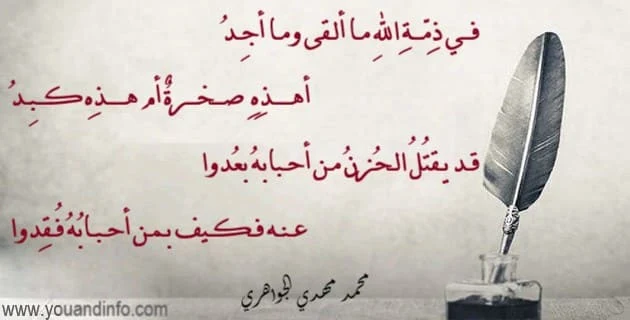 قصيدة في ذمة الله ما ألقى وما أجد، أهذه صخرة أم هذه كبد، قد يقتل الحزن من أحبابه بعدوا