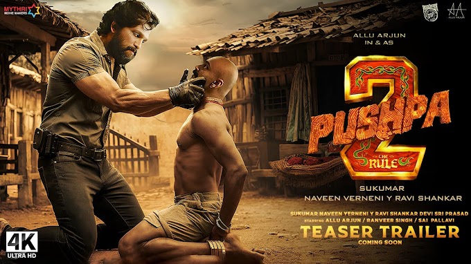 Pushpa 2 movie  Download 2024
