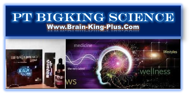 http://www.brain-king-plus.com/