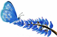 blue_butterfly