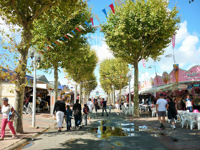 Grande roue - Ronces Les Bains - charente maritime - la tremblade - france