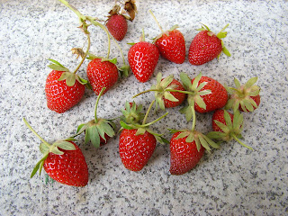 Fresones (Fragaria x ananassa).