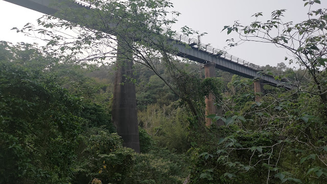 舊鐵道自行車的路線 - 龍騰斷橋