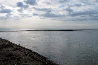 Barrera arenosa en el delta del río la Tordera