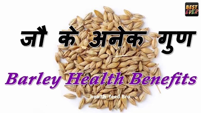 जौ का पानी पीनी के अनेको फायदे healthfeedbro