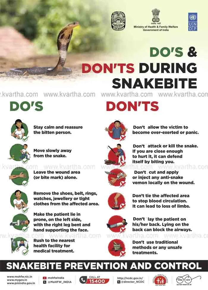 News, National, New Delhi, Snakebite, Health, Lifestyle, Government, Health, Report, Treatment, Govt releases action plan to reduce snakebite deaths.
