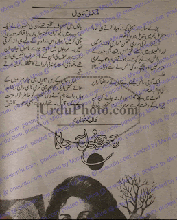 Rasta bhool na jana novel by Aliya Bukhari Online Reading