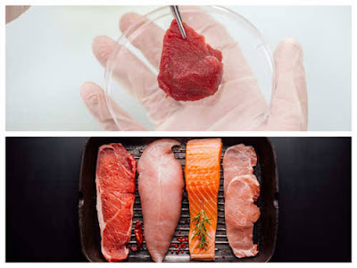 Cultured meat (Lab grown meat)