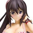 Figura Houki Shinonono Lingerie Style Edición Limitada IS Infinite Stratos WAVE