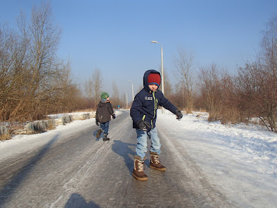 grzyby w styczniu, grzyby nadrzewne, spacer w zimie, zimowy las, smog w Krakowie