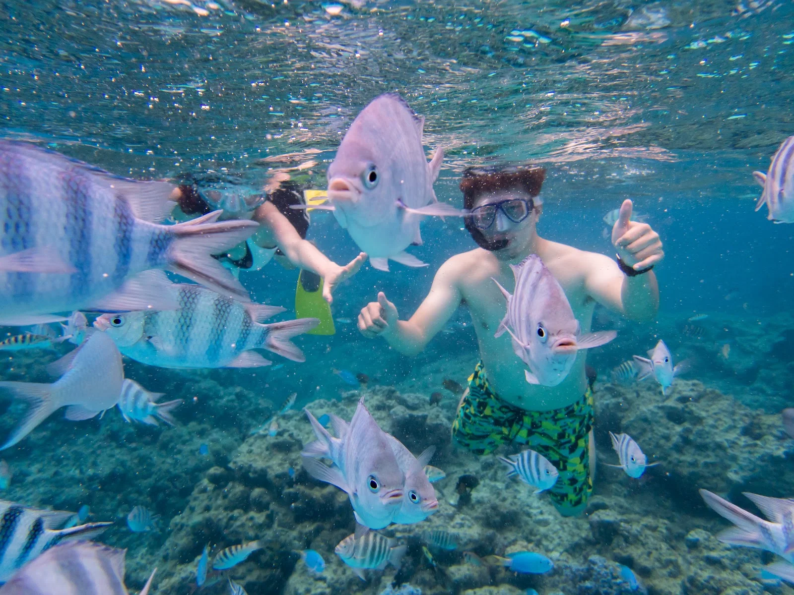 Aquarium Snorkeling Location @ Bora Bora, Tahiti