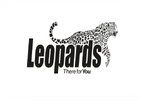 Leopards Courier Services  Jobs Data Modeler