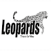 Leopards Courier Services  Jobs Data Modeler