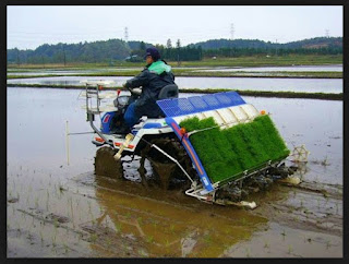 Semakin berkembangnya industri pertanian dari tahun ke tahun Keunggulan dan Kekurangan Traktor Sawah Modern