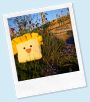 il_fullxfull.145135619[1]