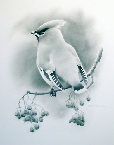 Lukisan-lukisan burung karya Lukasz Bednarz « BAZAR CL