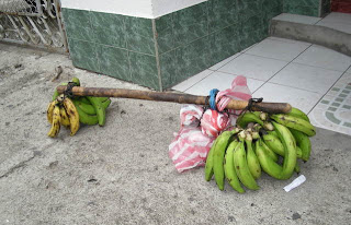 bananas for sale, La Ceiba, Honduras