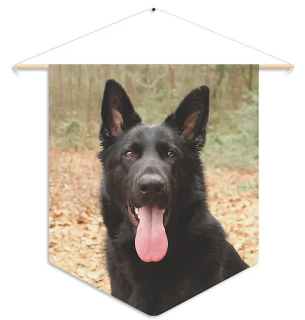 Pennant With European Solid Black Female German Shepherd Sloppy Sitting Leaving Tongue Out