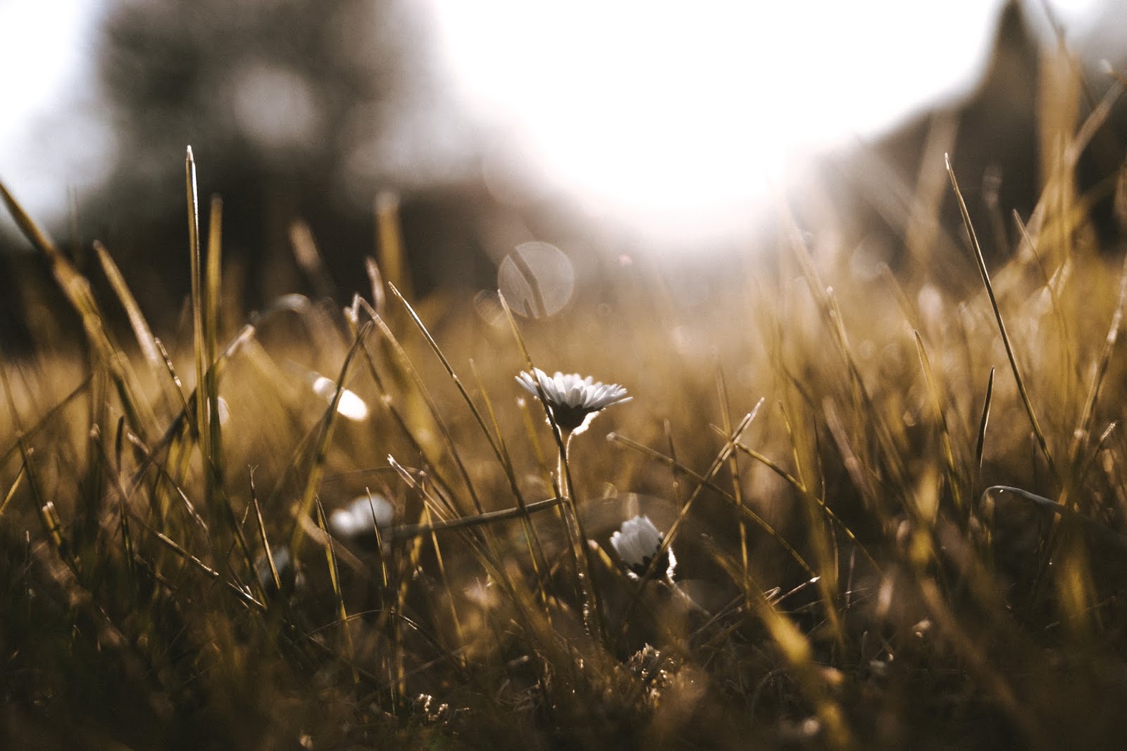 Poetin: Fast Frühsommerluft.