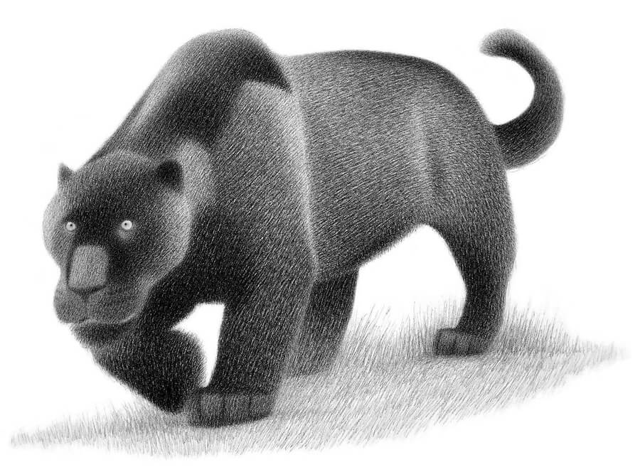 02-Black-Panther-Charcoal-Drawings-Heidi-Marie-Smith-www-designstack-co