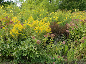 Perennial border in the fall at the Toronto Botanical Garden by garden muses-not another Toronto gardening blog