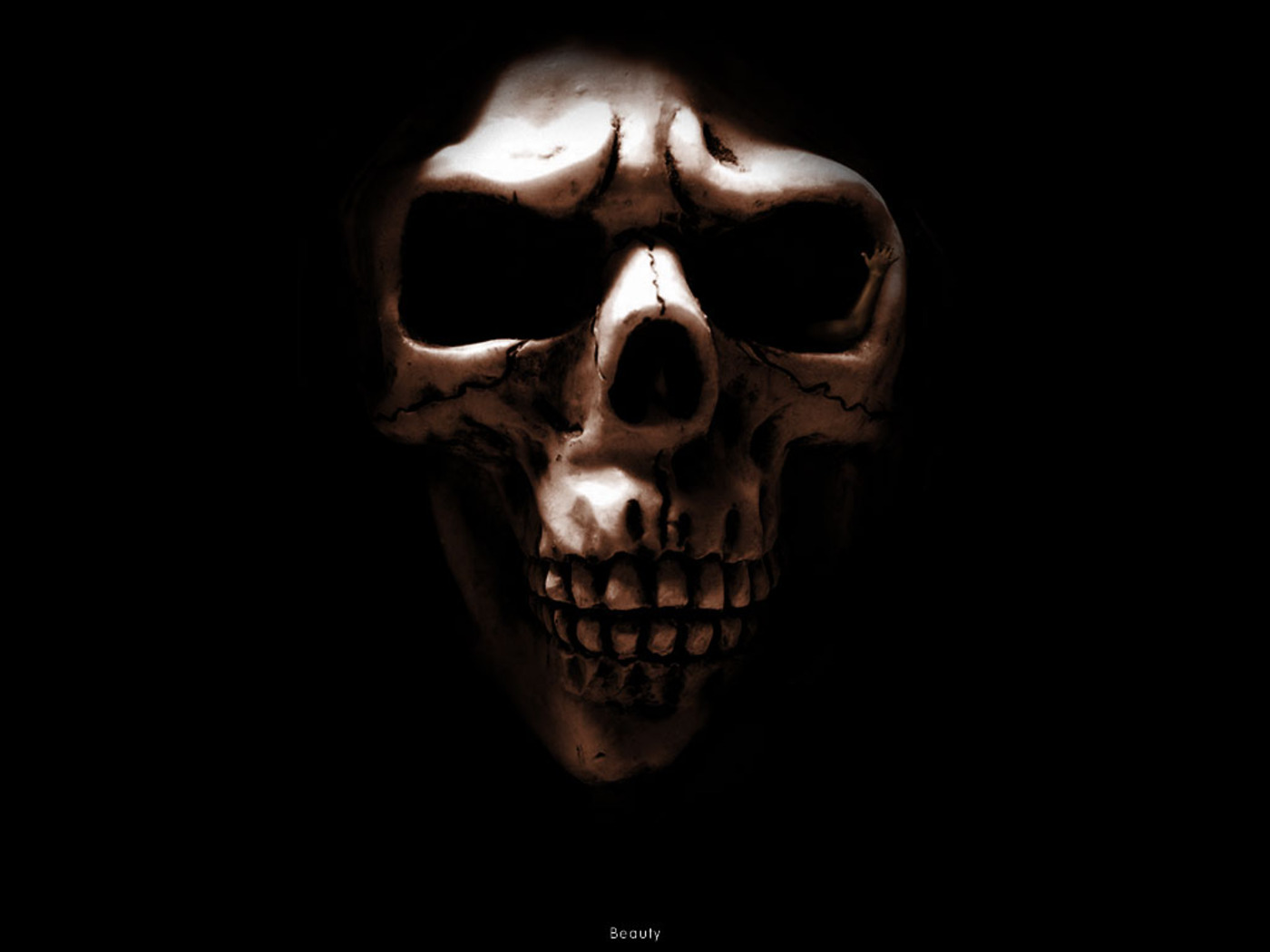 Skull Wallpapers Wallpapers HD Wallpapers Download Free Images Wallpaper [wallpaper981.blogspot.com]