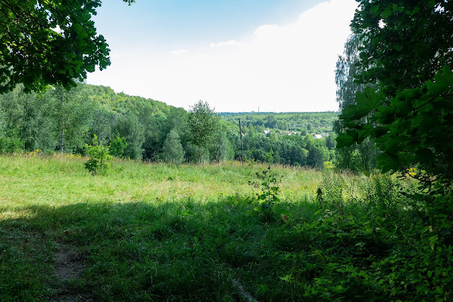 Анкудиновский лесопарк, Лысая гора