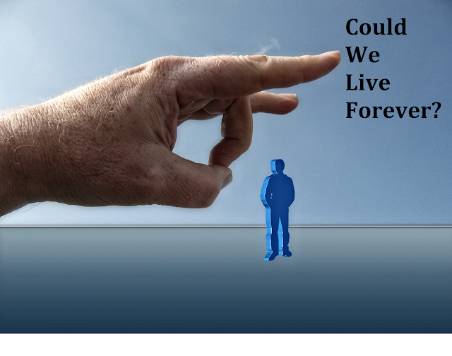 Can Humans Live Forever? | Majestic Fact