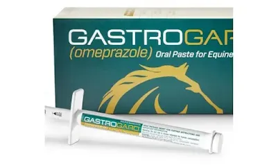 Essential Guide To Gastrogard For Horses