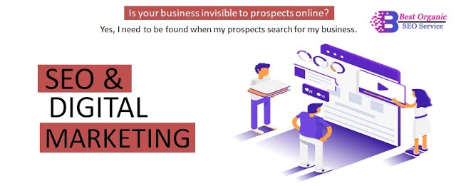 Best SEO & Digital Marketing Company in India