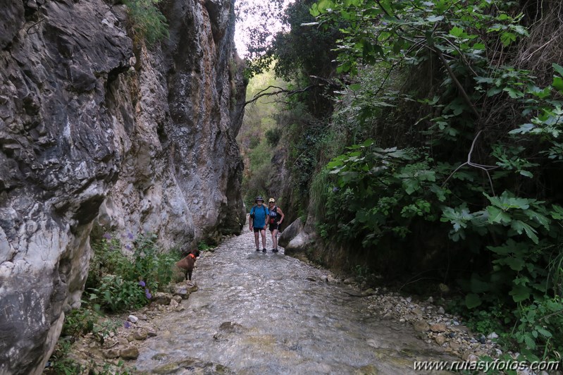 Sierra de Enmedio - Cruz del Pinto - Río Chíllar